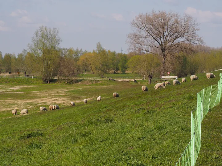 Kalkense Meersen (België)